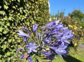 PataGo! Sea&Sand，位于普拉亚欧尼恩的酒店