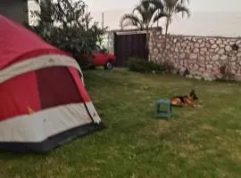 Nada y acampa con tus perritos