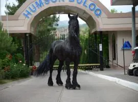 HUMSON BULOQ SANATORIUM