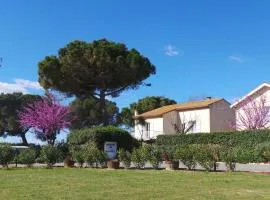 A l'Orée Des Vignes