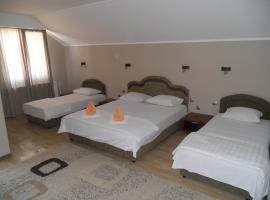 Guest house Vila Bor，位于诺维萨德的酒店