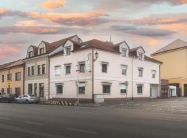 Hotel Bohemia，位于Stará Boleslav的酒店