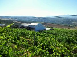 Bodegas Morosanto，位于La Cimada的酒店