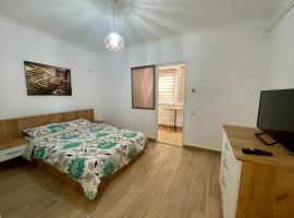Militari Comfort Studio，位于Roşu的酒店