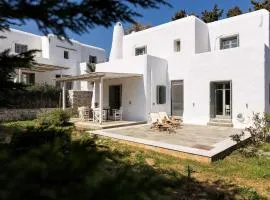 Sun Drop II with garden - Drios beach Paros