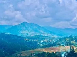 Blue mountain view resort