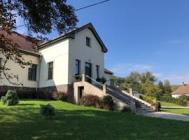 Fáy Mansion，位于Irota的酒店