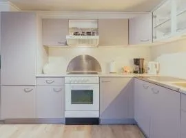 Spacious Basement Apartment with Mountain Views