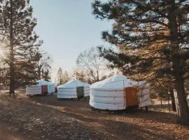 Cosy yurt at a nature retreat