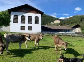 Mooshof - Farm apartment for families, motorcyclists, hikers & cyclists in Stelvio National Park