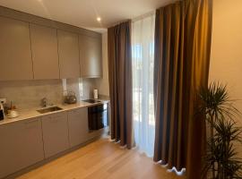 Hotel Swiss Bellevue Oberwangen，位于Oberwangen的酒店