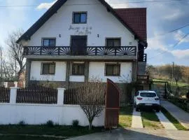 Pensiunea Maria-Elena