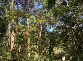 Abraço da Natureza