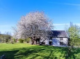 Gerestaureerde hoeve met zicht