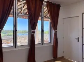 L'Espérance vue sur la vigne et la Loire