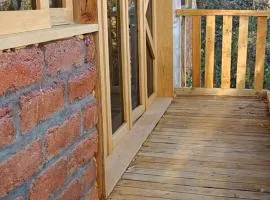 Golondrina - Cabañas Puerto del Zopilote