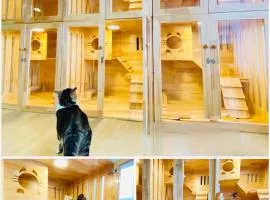 Cat Hotel Hatyai by Krissana Mansion cat only