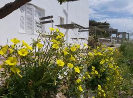 Dandelion Paros Apartments I-II，位于Kóstos的酒店