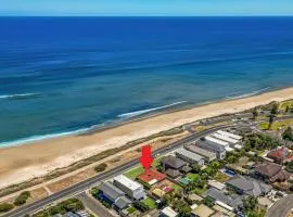 Swainson by Surf