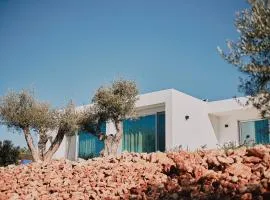 金塔多斯瓦莱斯葡萄酒庄园旅馆