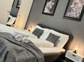 Luxury design apartment & Downtown centre & Free parking