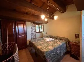 La casetta nel bosco