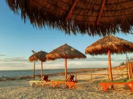 Les flamboyants morondava