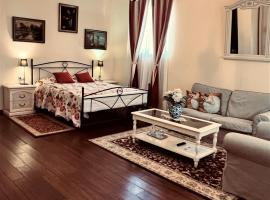 Park Villa - Boutique Hotel，位于蒂米什瓦拉的精品酒店