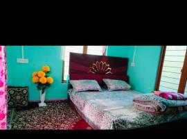 River view home stay，位于Kanzalwan的酒店