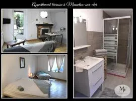 Appartement Terrasse à Mennetou sur Cher "La Cité Médiéval