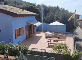 Blue Patch - Shared Home