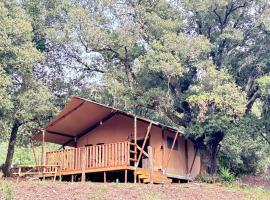 Lodge A NASSA，位于Olivese的酒店