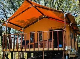 Lodge A NASSA
