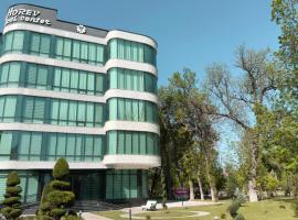 Horev Medical Center & NEW Hotel，位于塔什干的酒店