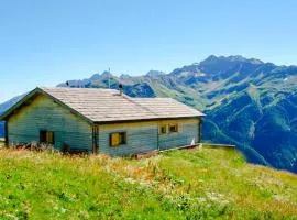 Ferienhaus Maligeralmhütte