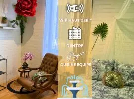 Pitchoune - Centre -Wifi - Equipé