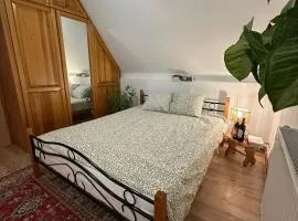 Pokój Cień Paproci