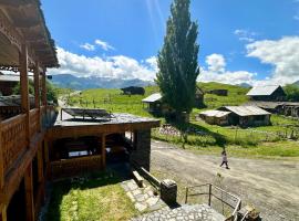 Guesthouse Lasharai，位于Omalo的酒店