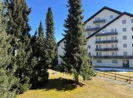 Slope-Side Mountain Apt Sleeps 4