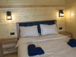 Cottage nikolozi2