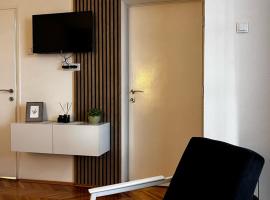 Apartman RISTIC，位于弗拉涅的酒店