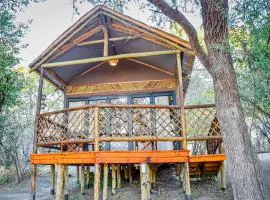 Rustic Gate Lodge and Campsite
