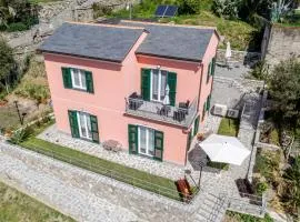 Il Vigneto