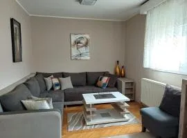 Beautiful house