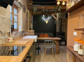 Cocon au cœur des Vosges