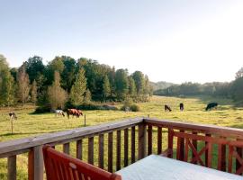 Modern farm cottage with Wi-Fi in a calm countryside setting，位于瓦尔德马什维克的酒店