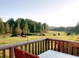 Three Bedroom Cottage Scenic Farm Views Lake Access and Free Boat
