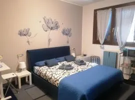 La Casa Blu- Forum di Assago, Ospedale Humanitas, Milanofiori, IEO