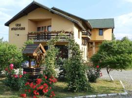 Pensiunea CASA MOLDOVEANA，位于皮亚特拉-尼亚姆茨的酒店