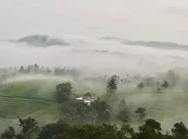 Tea Harmony Bunglow